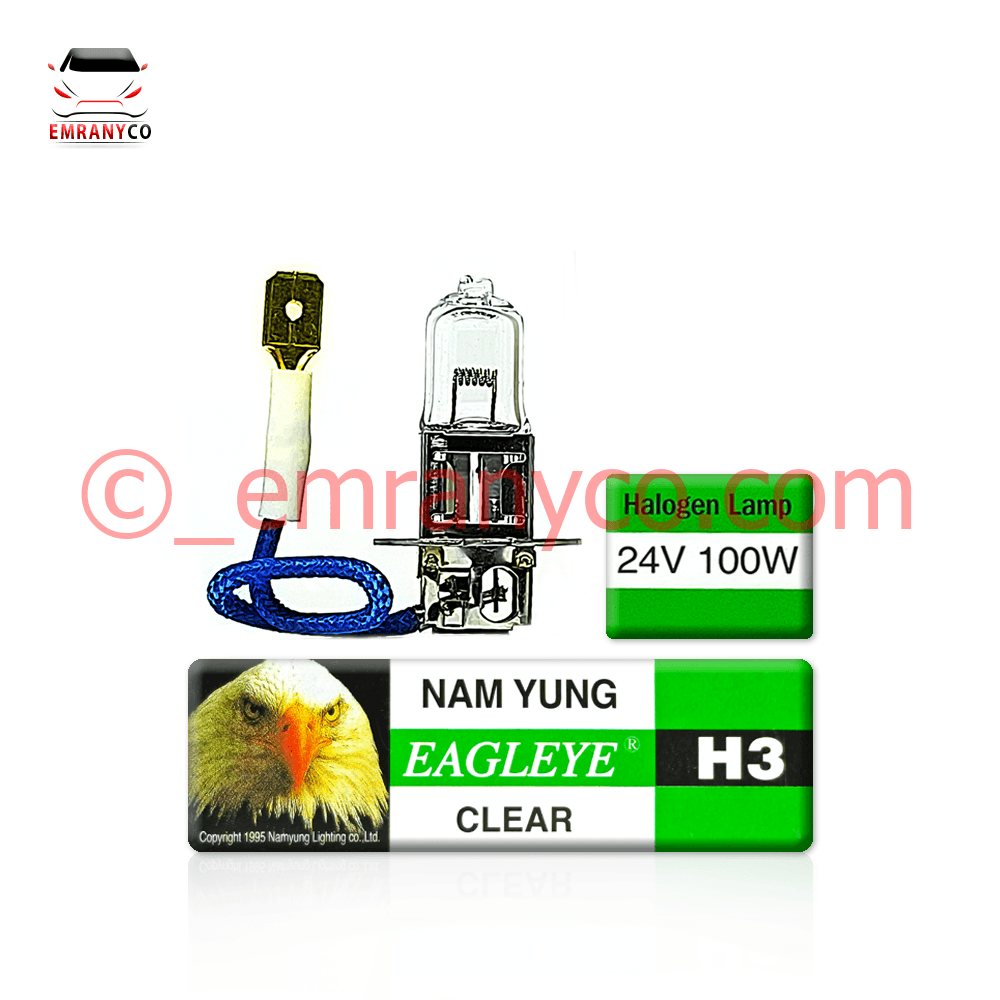 00101050 (1) لامپ سیم دار 24 ولت عقاب 100 وات - تصویر 1