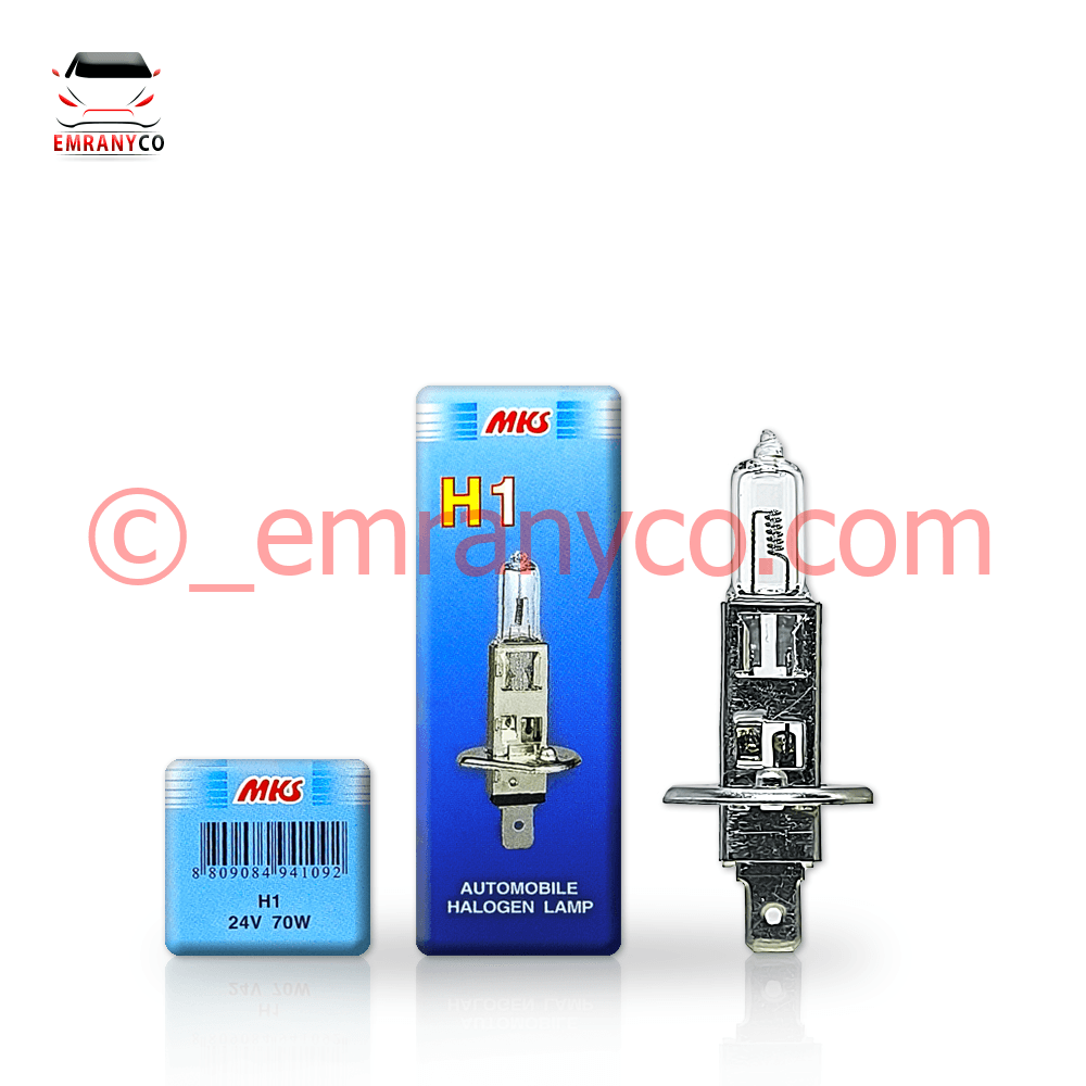 00201046 (1) لامپ بی سیم 24 ولت MKS - تصویر 1