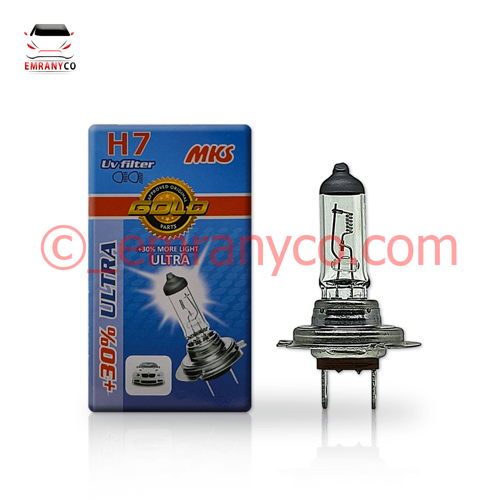 00201059 (2) لامپ دو فیش 24 ولت 100 وات MKS - تصویر 1