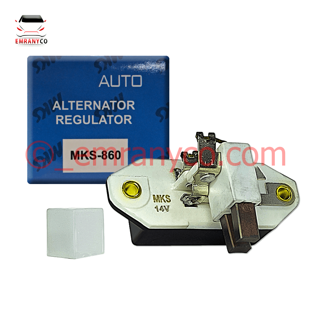 00501021 (1) آفتامات دینام بنزی MKS - تصویر 1