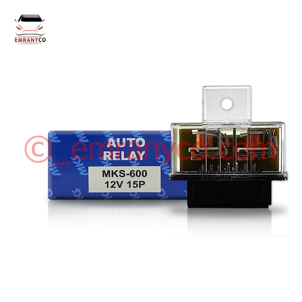 00501075 (1) رله دوبل MKS - تصویر 1